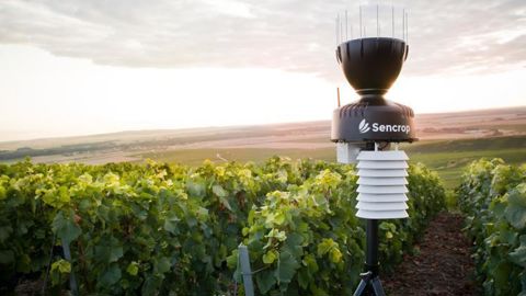 Avec désormais 11 300 stations météo connectées, le réseau de Sencrop devient « le plus gros en Europe de l’Ouest ».